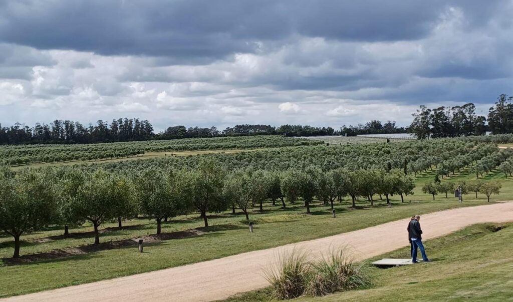 Bodega Oceânica José Ignacio (foto de Míriam Aguiar)