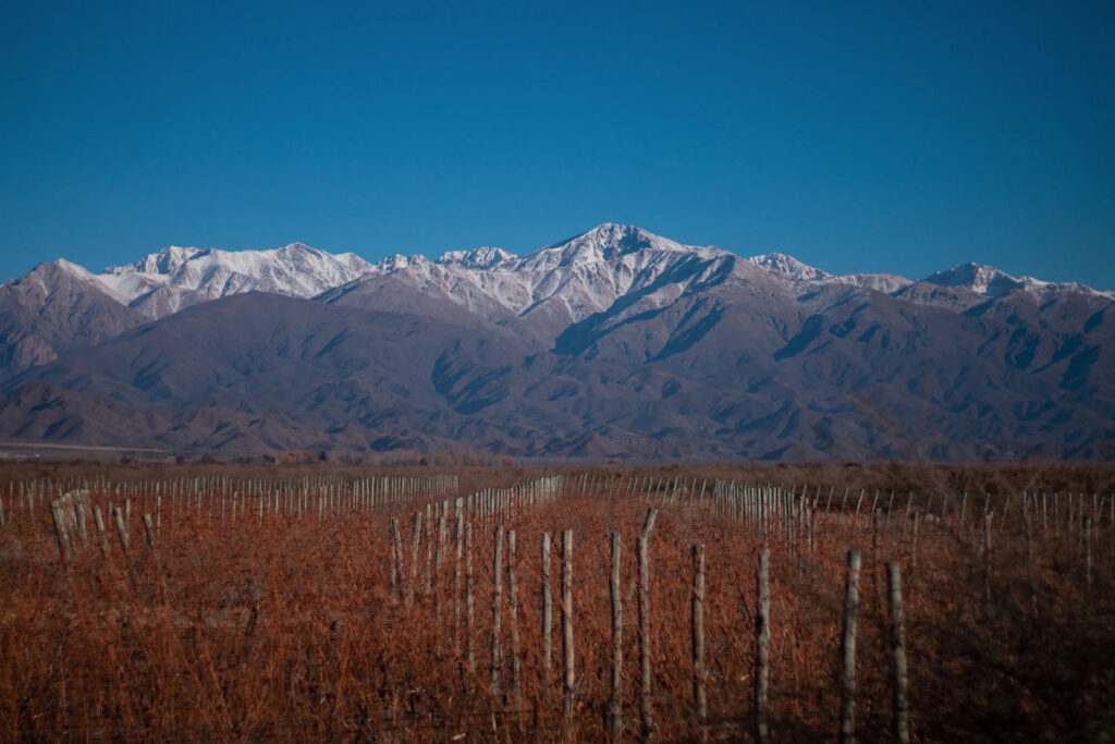 Valle de Uco, Mendoza - busca pela altitude tem sido uma alternativa para equilibrar vinhos muito alcoólicos (foto Unsplash)