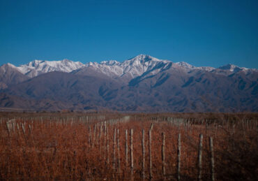 Valle de Uco, Mendoza - busca pela altitude tem sido uma alternativa para equilibrar vinhos muito alcoólicos (foto Unsplash)
