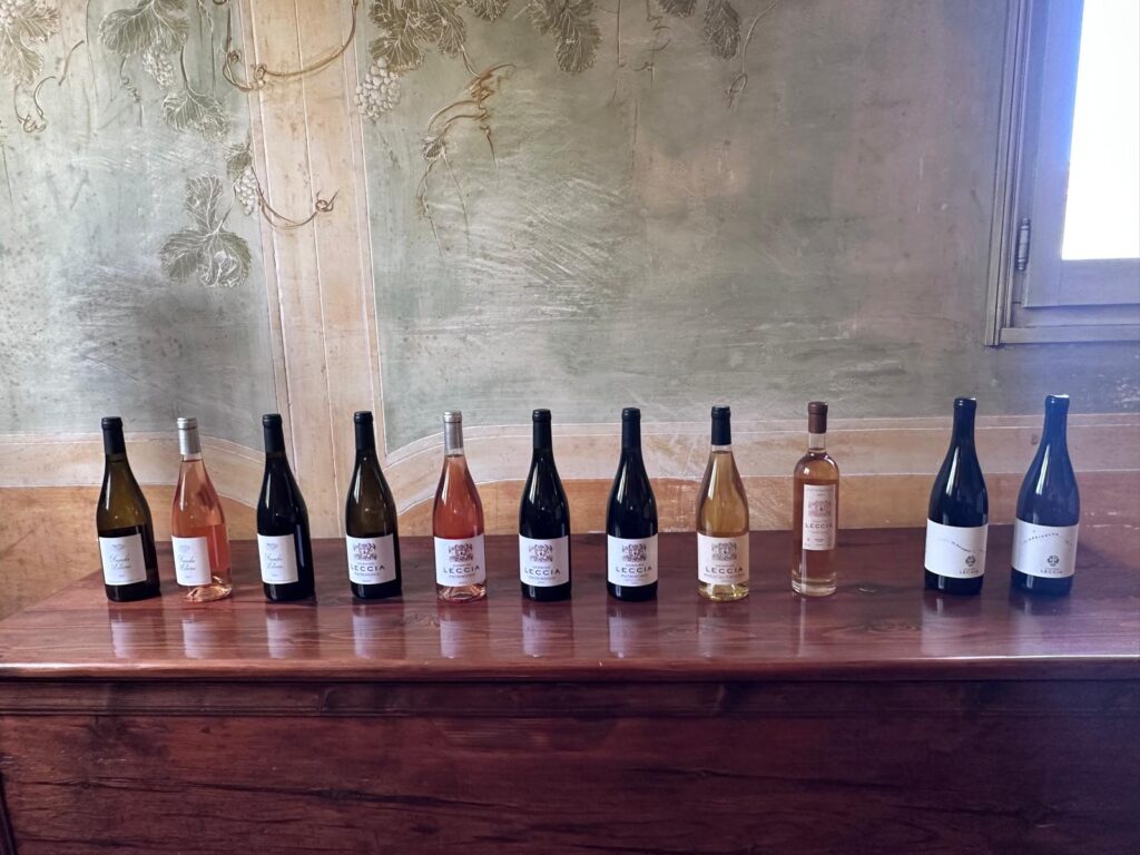 Vinhos Domaine Leccia, área AOC Patrimonio