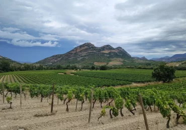 Cap Corse, na Córsega (foto de Míriam Aguiar)