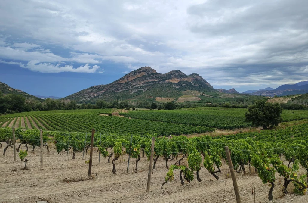 Cap Corse, na Córsega (foto de Míriam Aguiar)