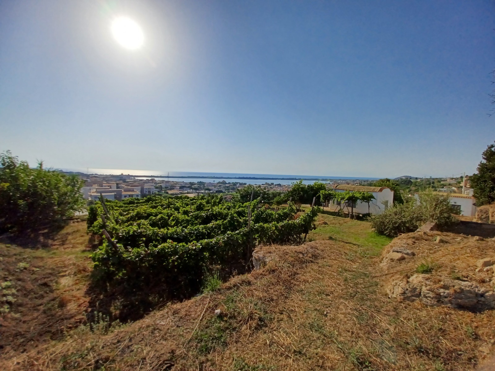 Garrafas de vinho
